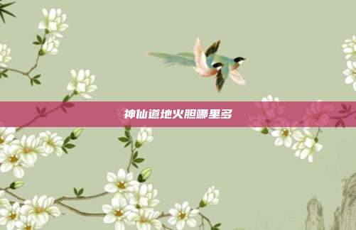 神仙道地火胆哪里多