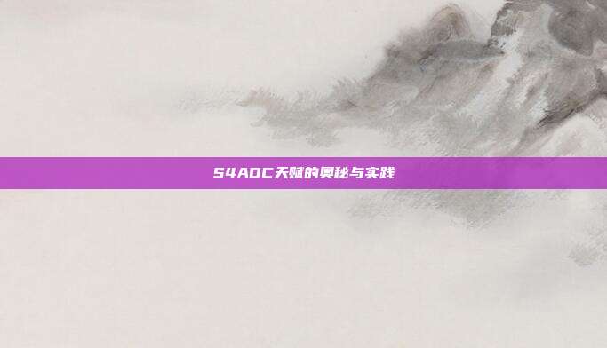 S4ADC天赋的奥秘与实践