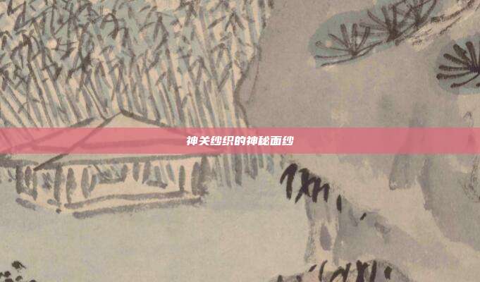 神关纱织的神秘面纱