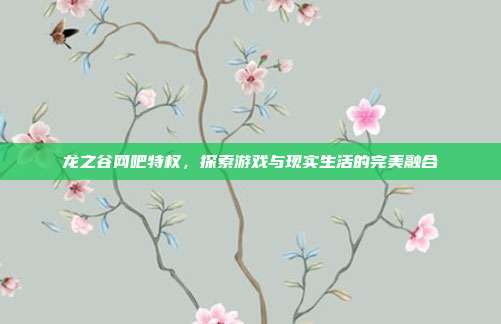 龙之谷网吧特权,探索游戏与现实生活的完美融合