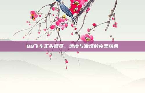 QQ飞车正头精灵,速度与激情的完美结合