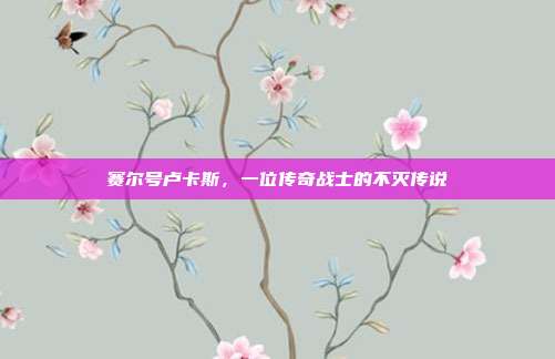 赛尔号卢卡斯,一位传奇战士的不灭传说