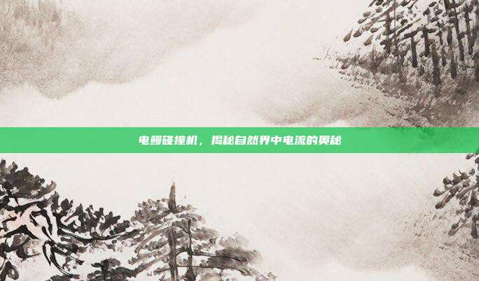 电鳗碰撞机,揭秘自然界中电流的奥秘