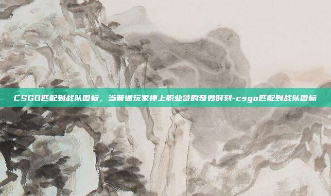 CSGO匹配到战队图标，当普通玩家撞上职业哥的奇妙时刻-csgo匹配到战队图标