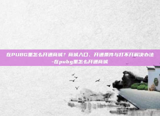 在PUBG里怎么开通商城？商城入口、开通条件与打不开解决办法-在pubg里怎么开通商城