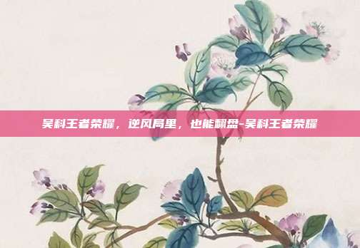 吴科王者荣耀，逆风局里，也能翻盘-吴科王者荣耀