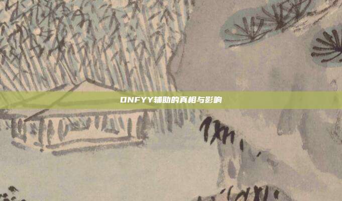 DNFYY辅助的真相与影响