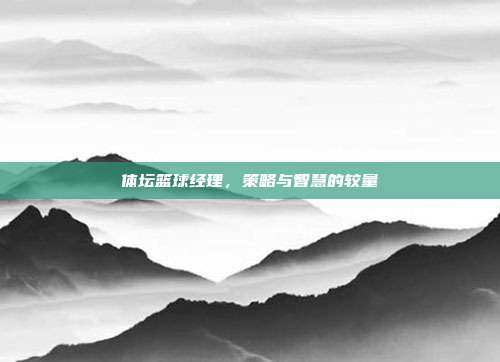 体坛篮球经理,策略与智慧的较量