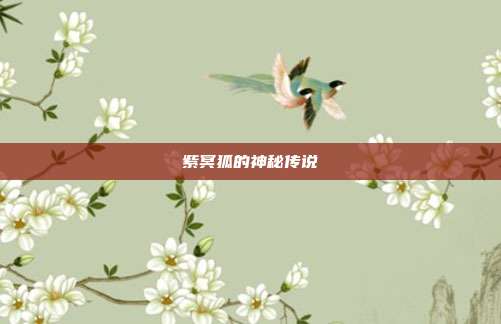 紫冥狐的神秘传说