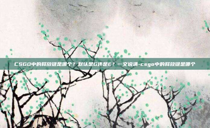 CSGO中的释放键是哪个？默认是G还是E？一文说清-csgo中的释放键是哪个