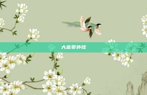 大富豪外挂