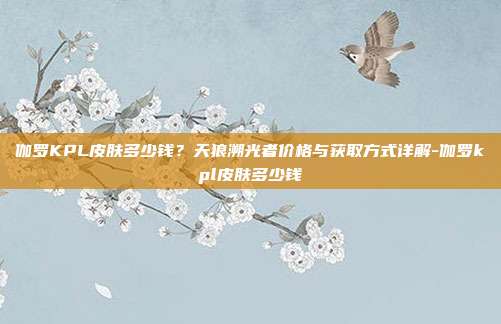伽罗KPL皮肤多少钱?天狼溯光者价格与获取方式详解-伽罗kpl皮肤多少钱