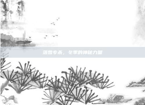 落雪专杀,冬季的神秘力量