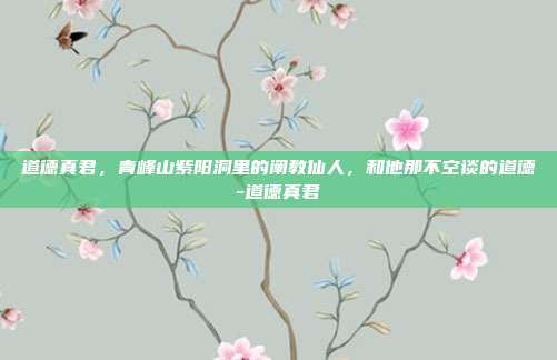 道德真君,青峰山紫阳洞里的阐教仙人,和他那不空谈的道德-道德真君