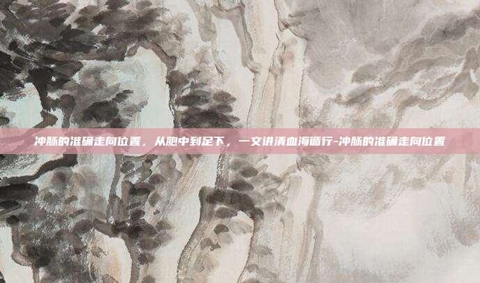 冲脉的准确走向位置，从胞中到足下，一文讲清血海循行-冲脉的准确走向位置