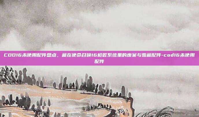 COD16未使用配件盘点，藏在使命召唤16枪匠系统里的废案与雪藏配件-cod16未使用配件