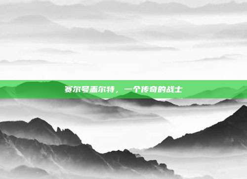 赛尔号盖尔特,一个传奇的战士