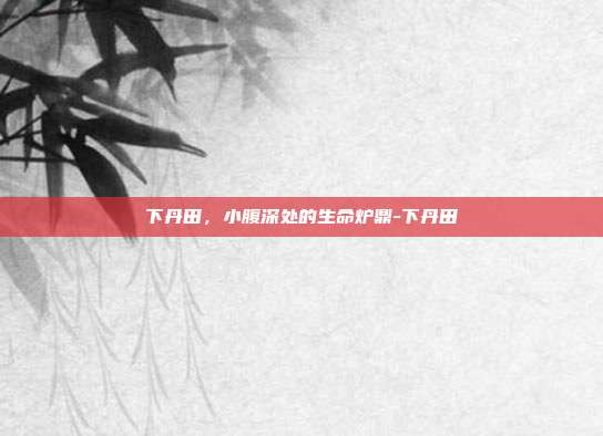 下丹田，小腹深处的生命炉鼎-下丹田