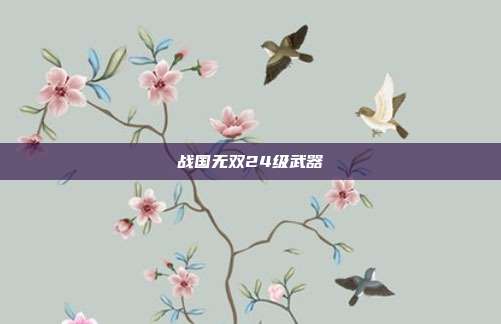 战国无双24级武器