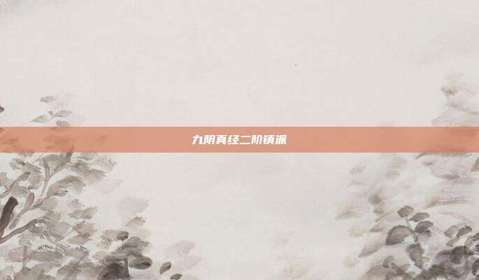 九阴真经二阶镇派