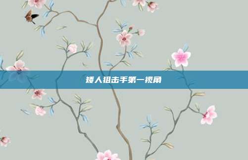 矮人狙击手第一视角