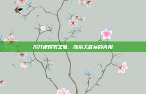揭开纸嫁衣之谜，探索关答案的真相