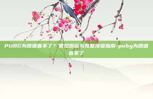 PUBG为啥语音不了?常见原因与完整排查指南-pubg为啥语音不了