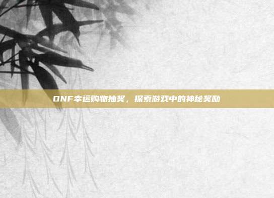 DNF幸运购物抽奖，探索游戏中的神秘奖励