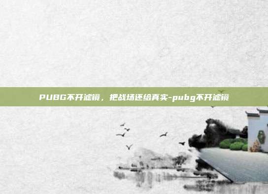 PUBG不开滤镜,把战场还给真实-pubg不开滤镜
