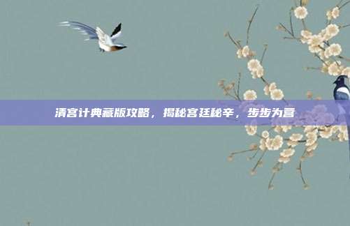 清宫计典藏版攻略,揭秘宫廷秘辛,步步为营