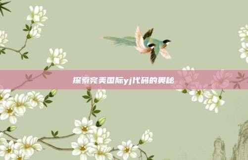 探索完美国际yj代码的奥秘