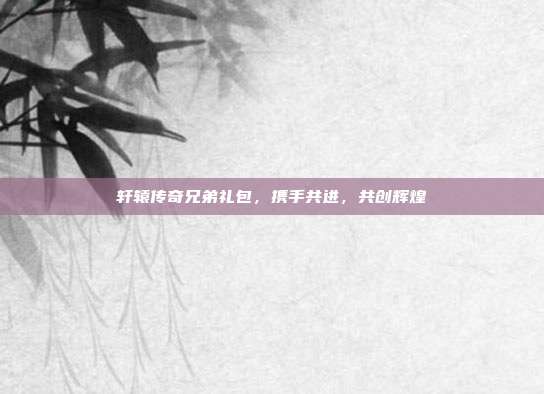 轩辕传奇兄弟礼包,携手共进,共创辉煌