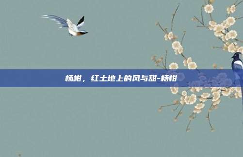 杨柑,红土地上的风与甜-杨柑