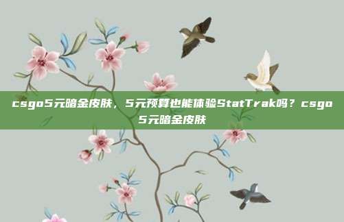 csgo5元暗金皮肤,5元预算也能体验StatTrak吗?csgo5元暗金皮肤
