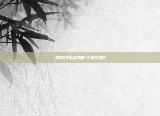 华裔小胖的奋斗与梦想