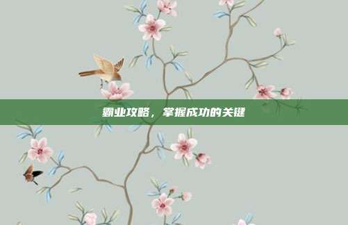 霸业攻略，掌握成功的关键