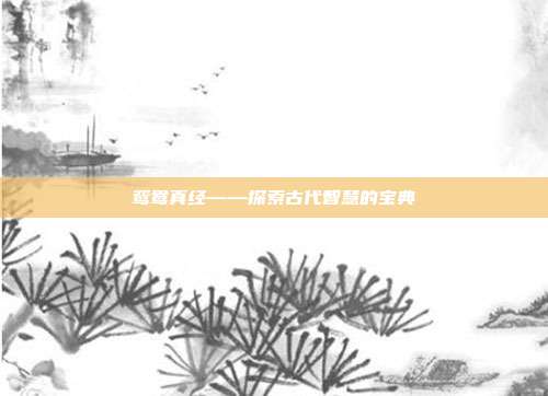 鸳鸯真经——探索古代智慧的宝典