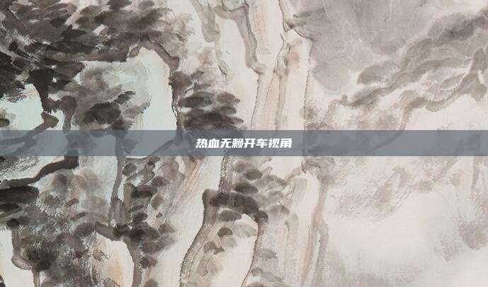 热血无赖开车视角