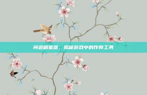 问道刷星器,揭秘游戏中的作弊工具