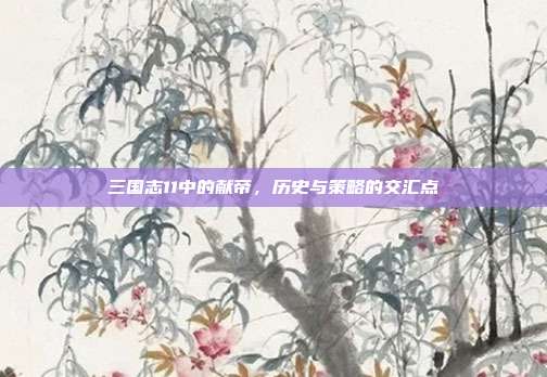 三国志11中的献帝，历史与策略的交汇点