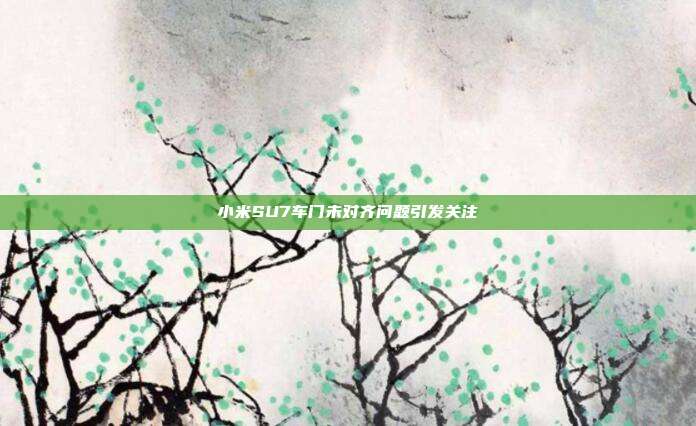 小米SU7车门未对齐问题引发关注