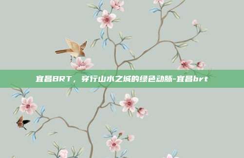 宜昌BRT，穿行山水之城的绿色动脉-宜昌brt
