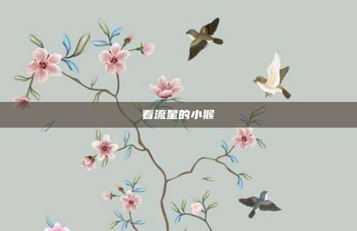 详细阅读:看流星的小猴 看流星的小猴