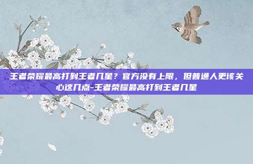 王者荣耀最高打到王者几星？官方没有上限，但普通人更该关心这几点-王者荣耀最高打到王者几星