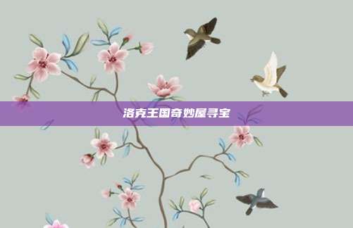 洛克王国奇妙屋寻宝