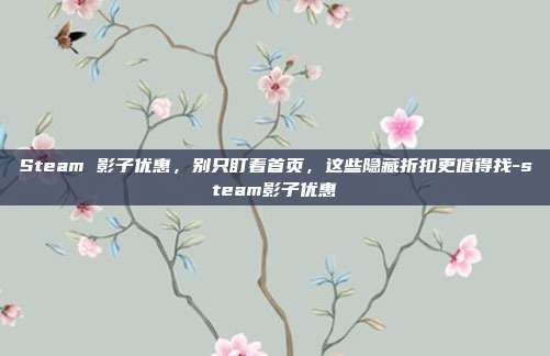 Steam 影子优惠,别只盯着首页,这些隐藏折扣更值得找-steam影子优惠
