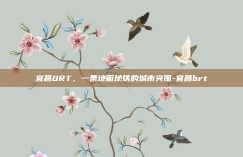 宜昌BRT，一条地面地铁的城市突围-宜昌brt