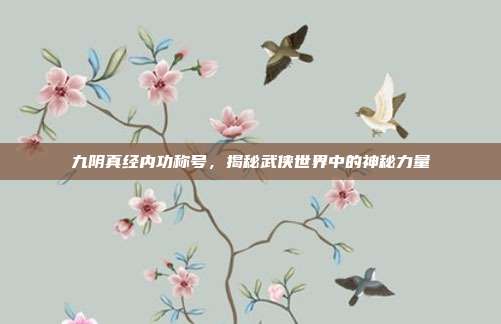九阴真经内功称号,揭秘武侠世界中的神秘力量