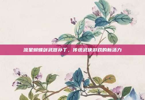 流星蝴蝶剑武器补丁,传统武侠游戏的新活力