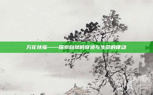 万花扶摇——探索自然的奇迹与生命的律动